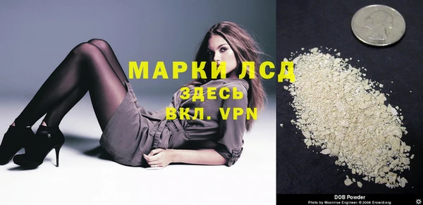 PSILOCYBIN Лабытнанги