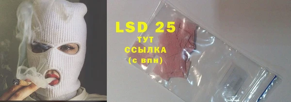 PSILOCYBIN Лабытнанги