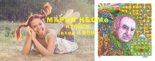 PSILOCYBIN Лабытнанги