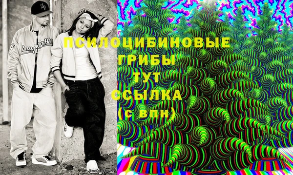 PSILOCYBIN Лабытнанги