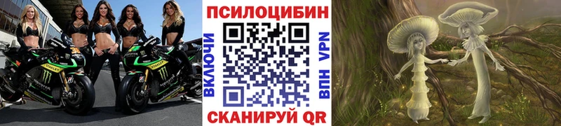 купить наркоту Тихорецк Галлюциногенные грибы MAGIC MUSHROOMS