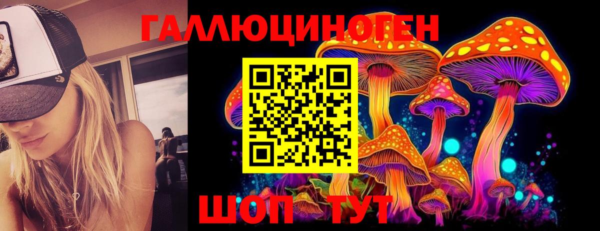 Галлюциногенные грибы Psilocybe Тихорецк